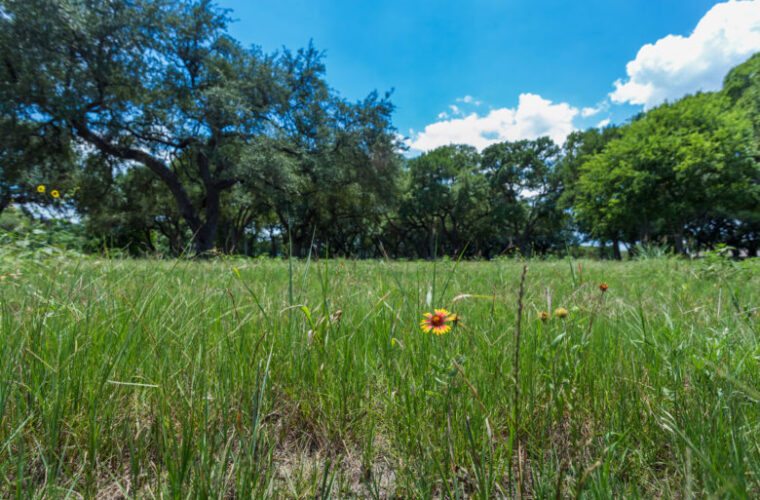 Heritage Oaks Park Field