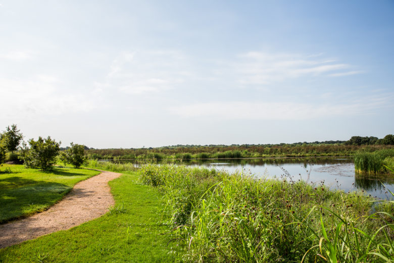 Water Features