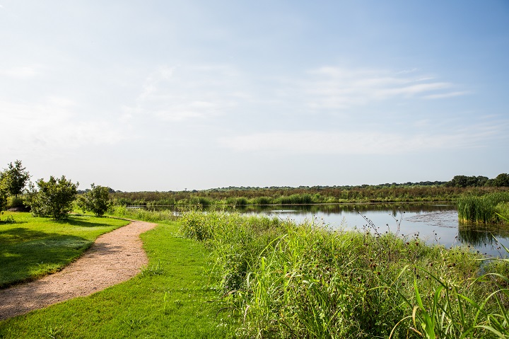 The Crossvine Green Space